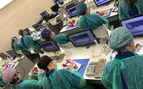 Concluido el Curso Intensivo de Cirugía Periodontal de la SCOE Concluido el Curso Intensivo de Cirugía Periodontal de la SCOE