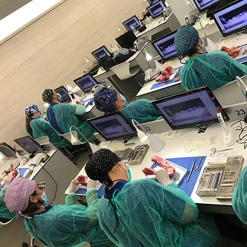 Concluido el Curso Intensivo de Cirugía Periodontal de la SCOE Concluido el Curso Intensivo de Cirugía Periodontal de la SCOE