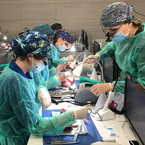 Concluido el Curso Intensivo de Cirugía Periodontal de la SCOE Concluido el Curso Intensivo de Cirugía Periodontal de la SCOE