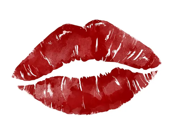 Los labios enmarcan la sonrisa