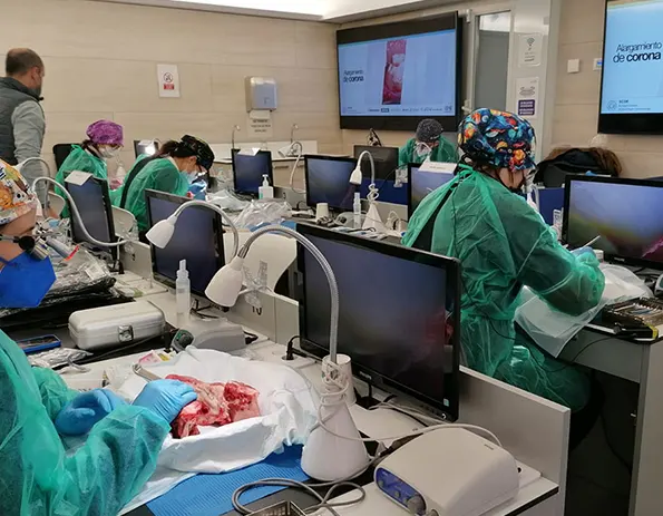 Se completa la 3ª edición del curso intensivo de cirugía